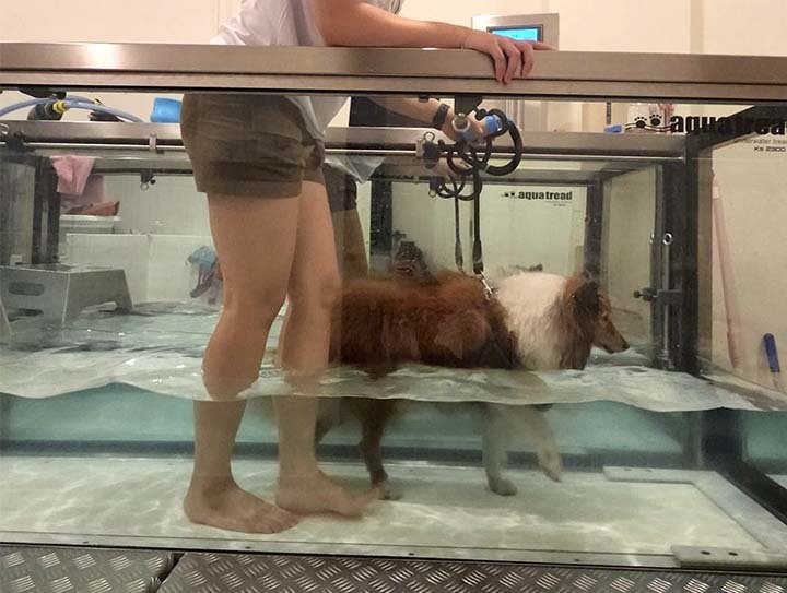 Hydrotherapy