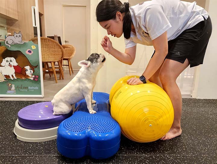 Rehabilitation packages
