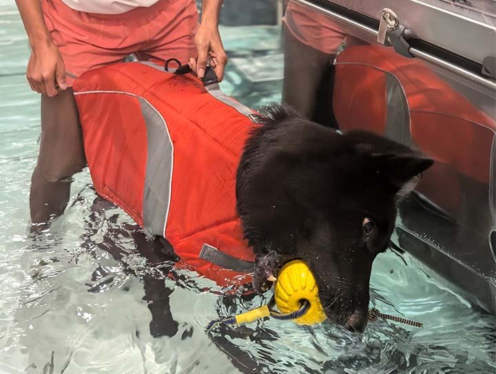 Hydrotherapy pool