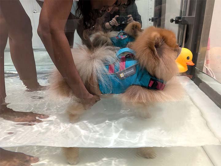 Hydrotherapy session