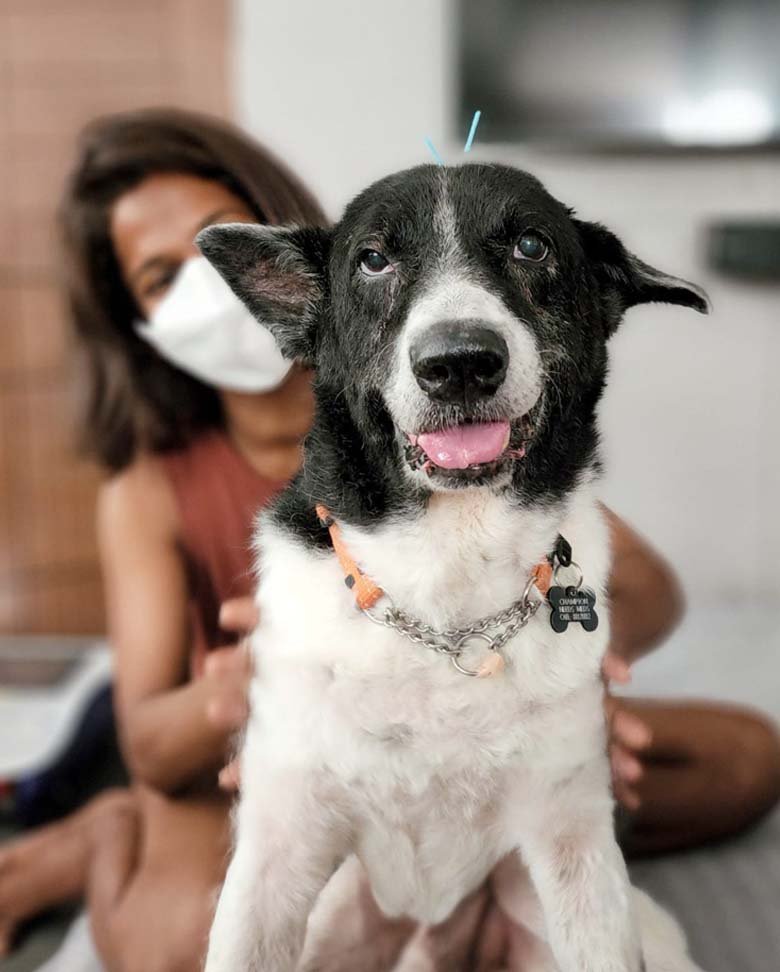Acupuncture treatment