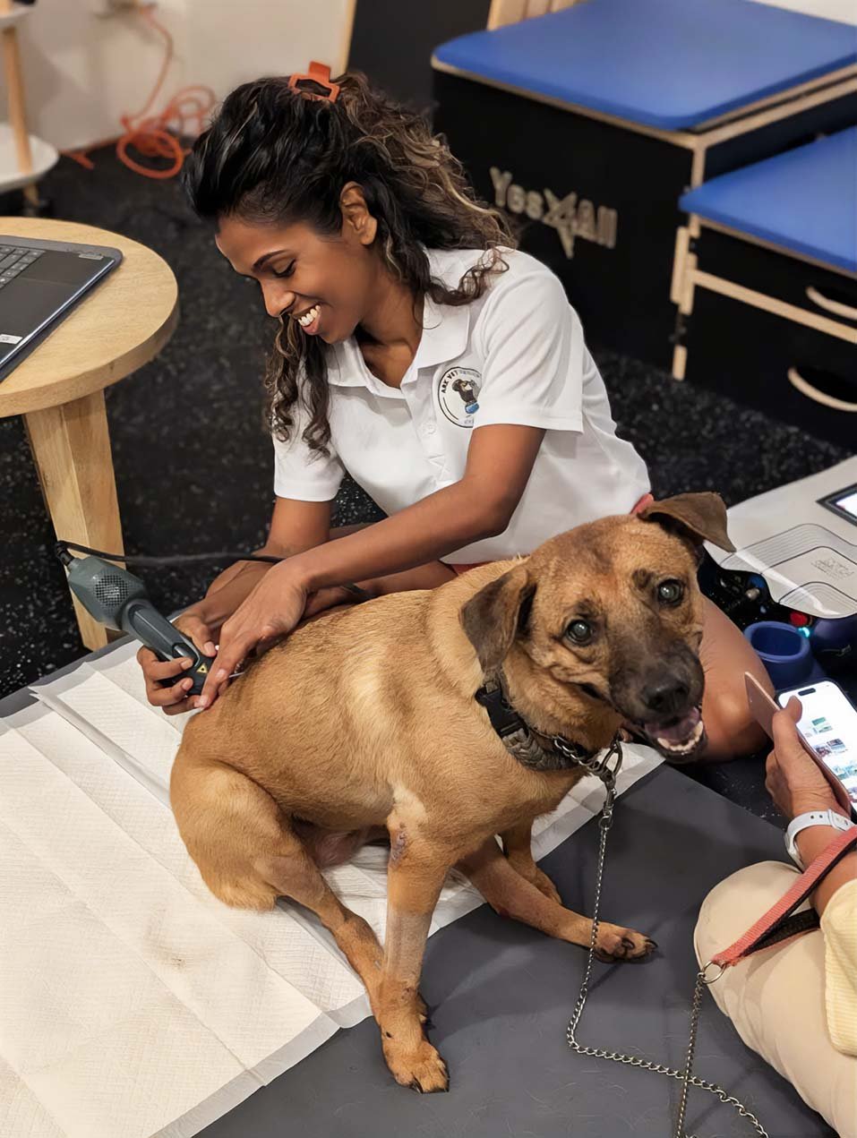 Veterinary rehabilitation consultation at ARK Vet Rehab Singapore
