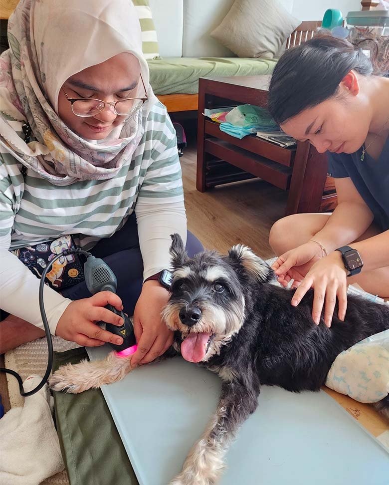 Home vet care