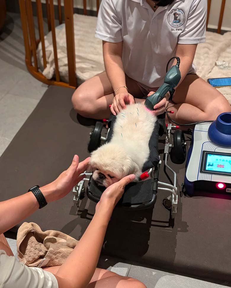 Laser therapy